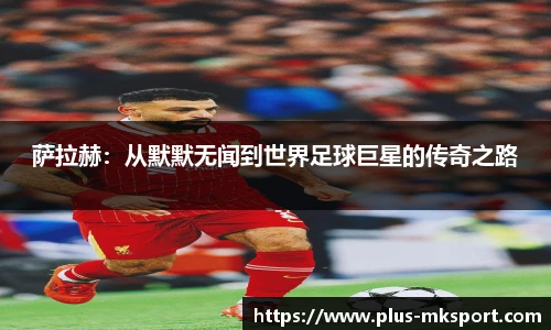 mk体育官网首页